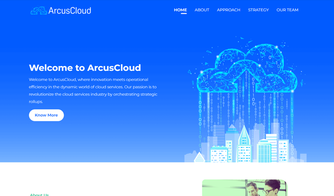 Vijay UI UX Designer - ArcusCloud.ai